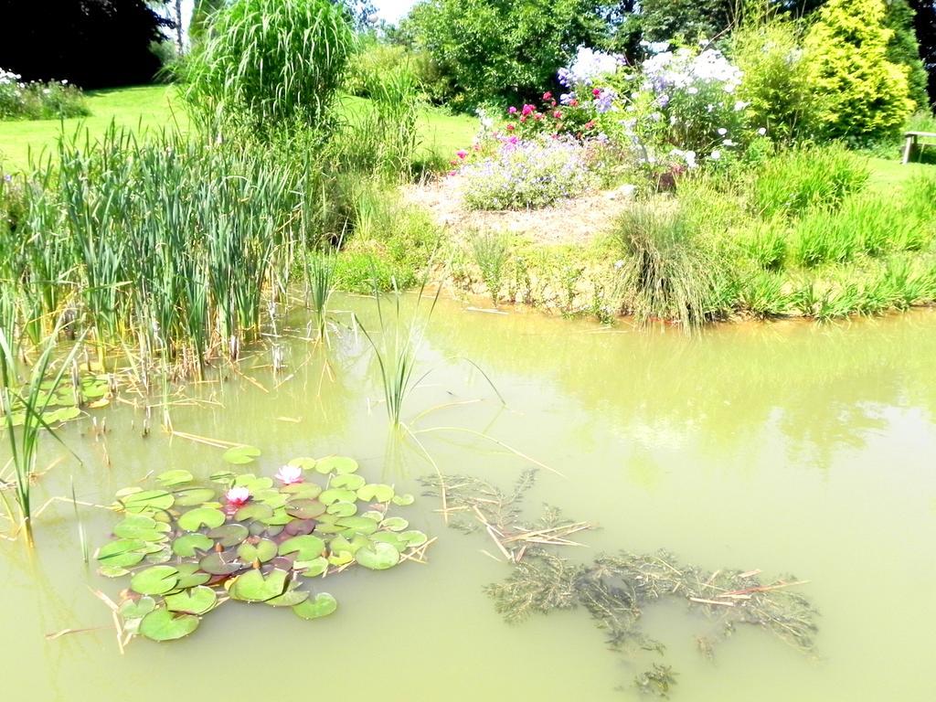 Les Charmilles Bed and Breakfast Hazebrouck Exteriör bild