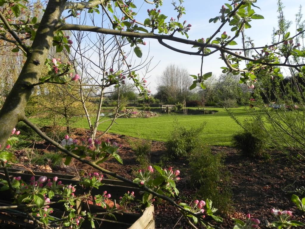 Les Charmilles Bed and Breakfast Hazebrouck Exteriör bild